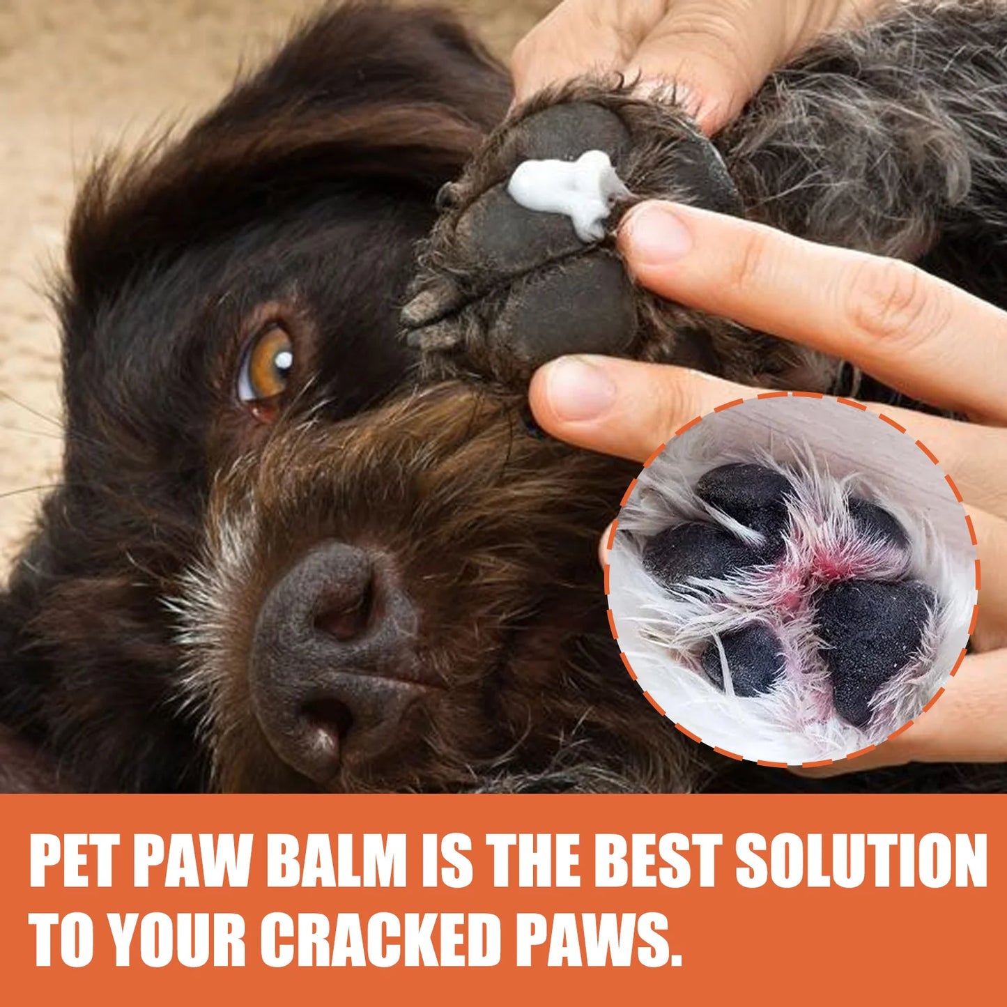 Moisturizing Paw Cream