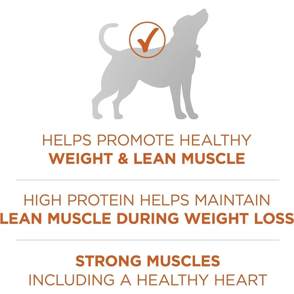 Dog Food