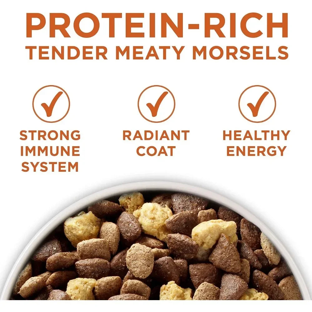 Dog Food