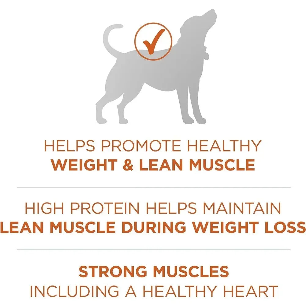 Dog Food