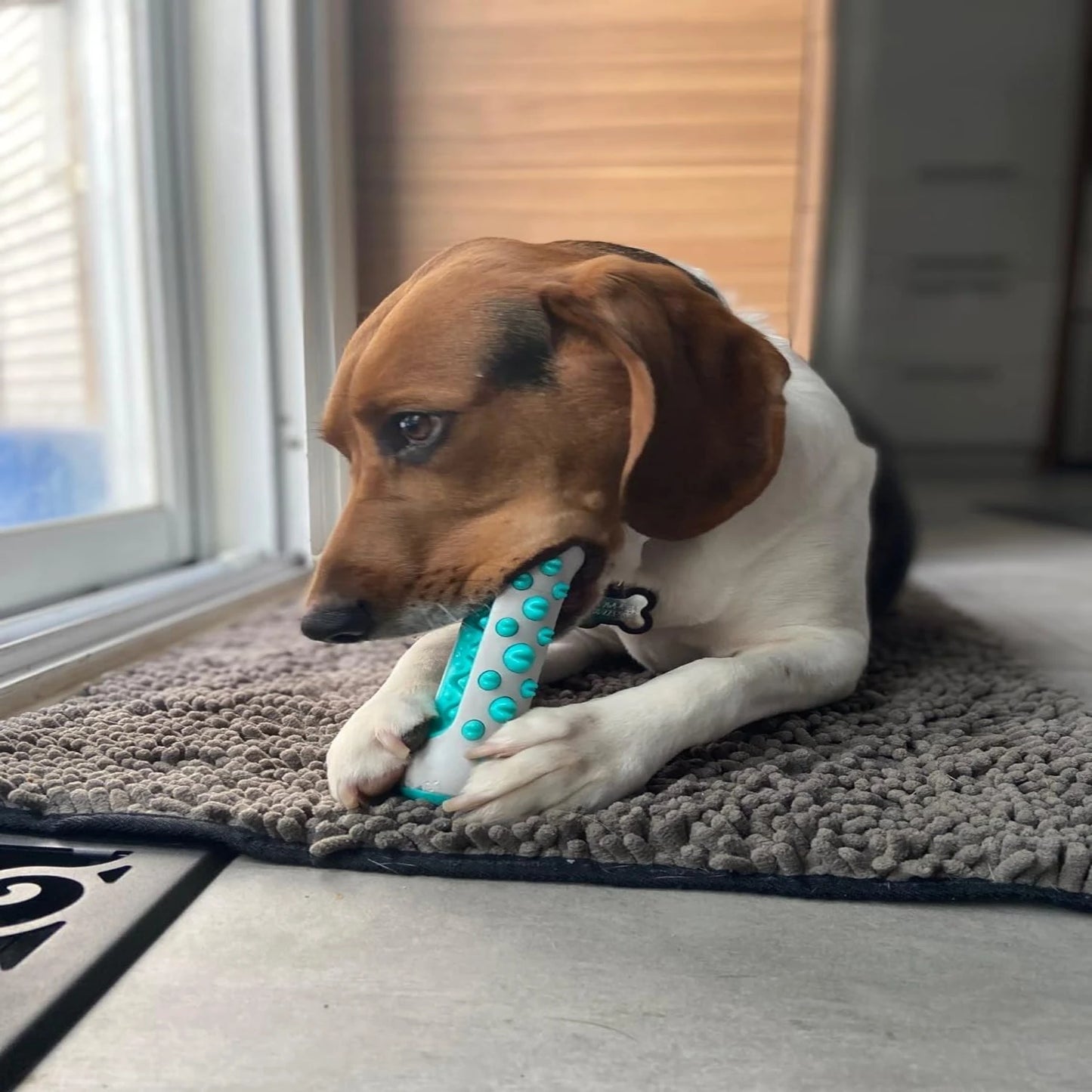 Chew-Resistant Pet Toy