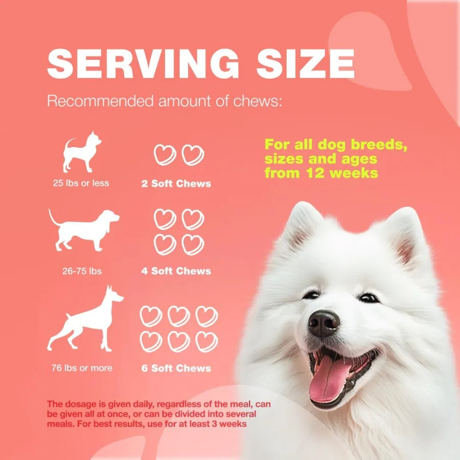 Dog Flea and Tick Treatment