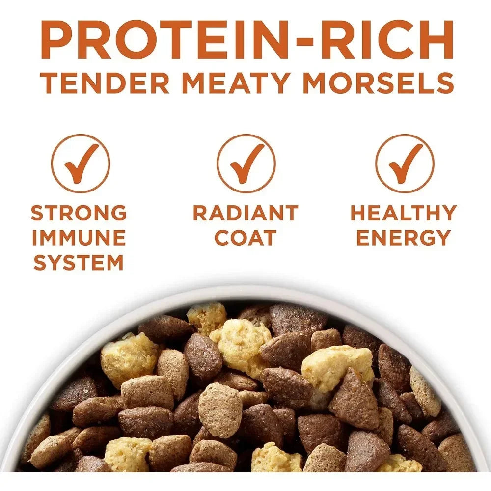 Dog Food