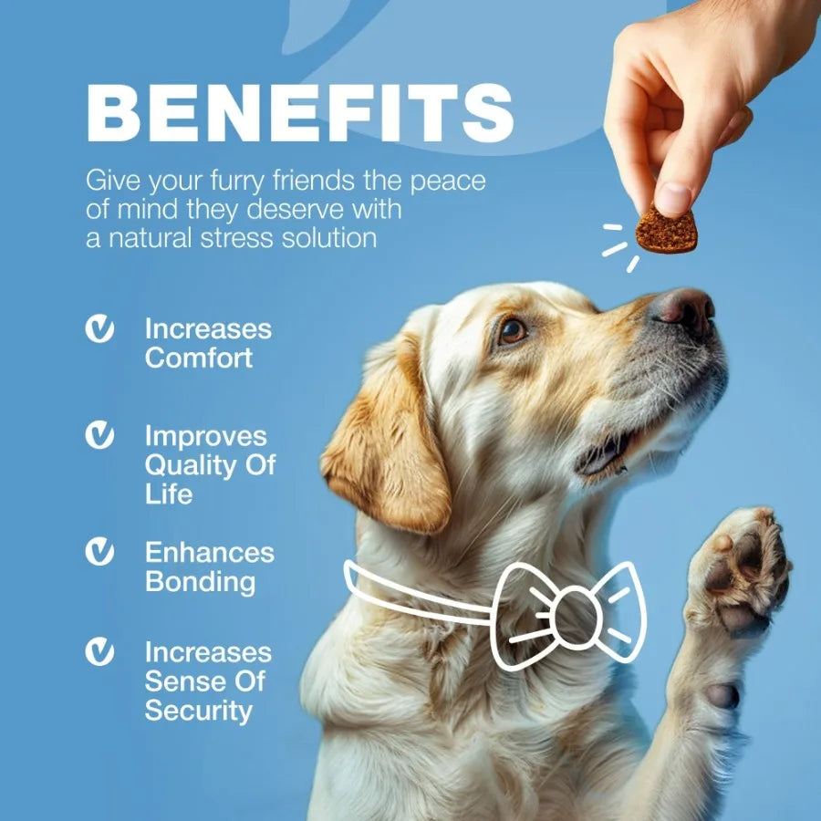 Hemp Calming Chews