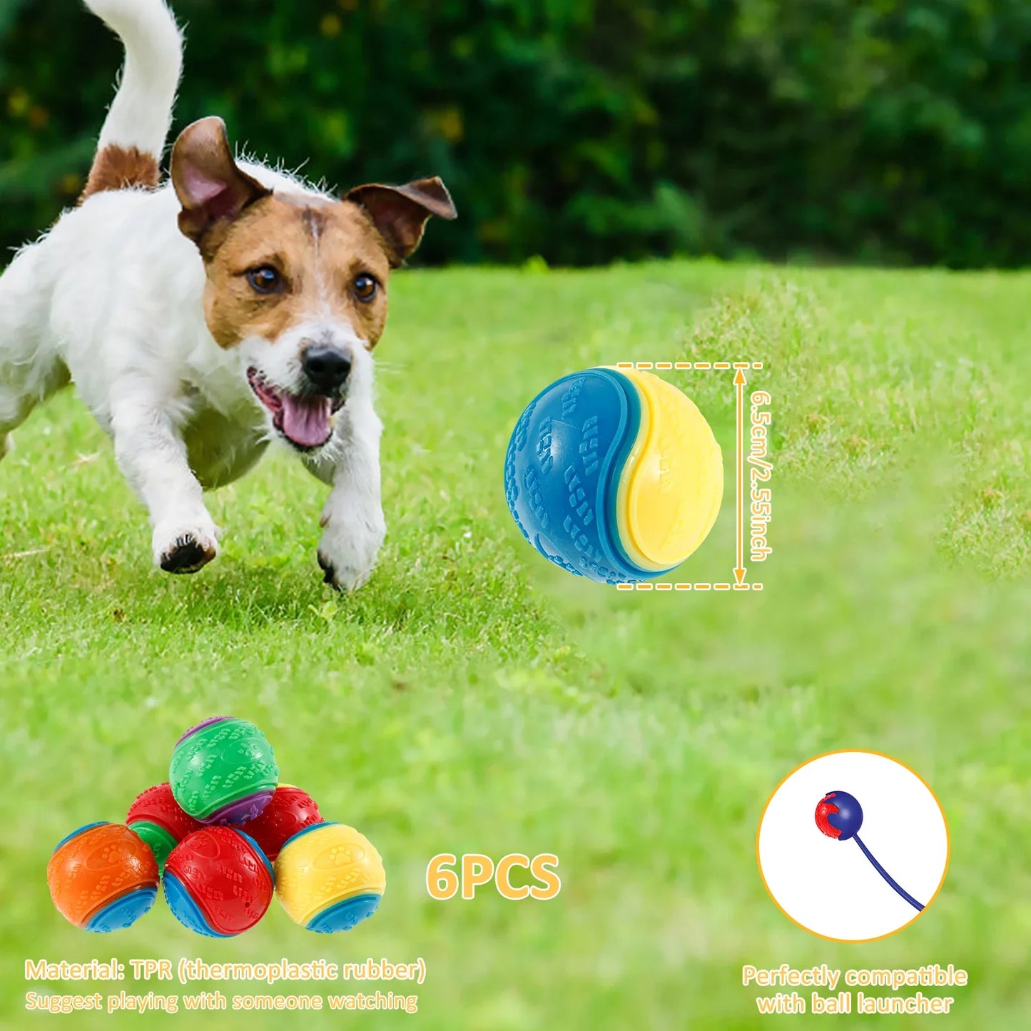 Squeaky Balls Chew Toys
