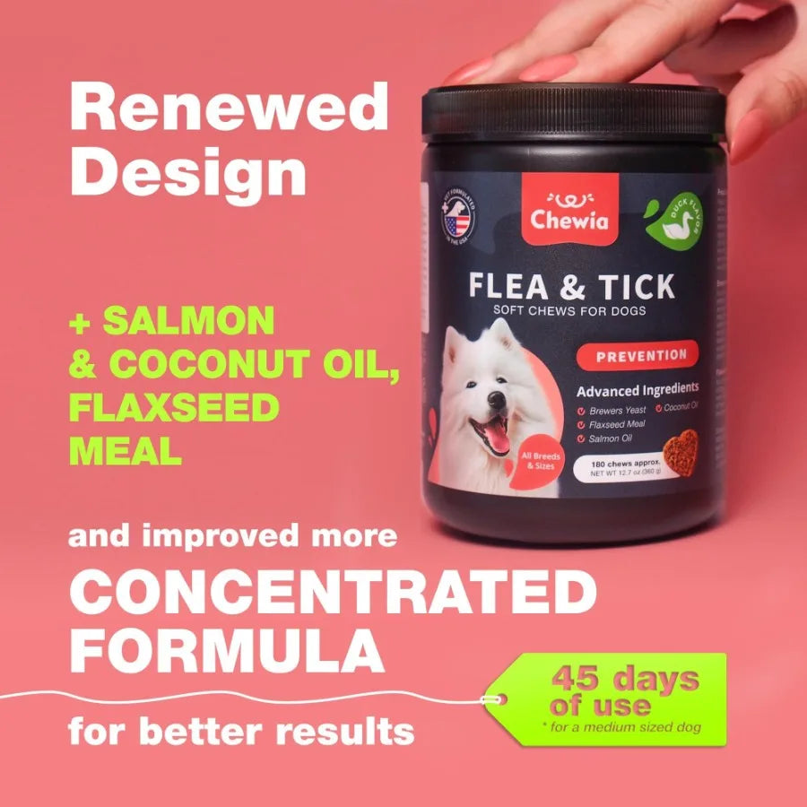 Dog Flea and Tick Treatment