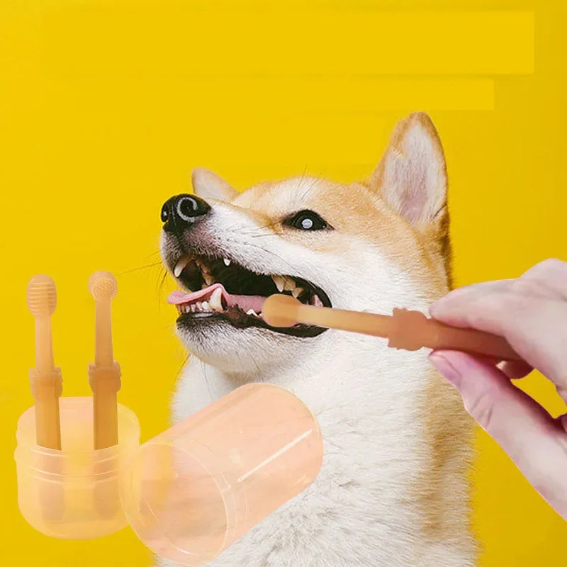 Teeth Whitening Toothbrush - oral care
