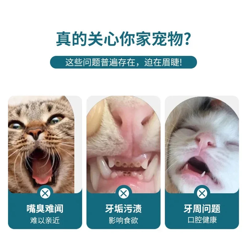 Pet Toothbrush - dogs/cats