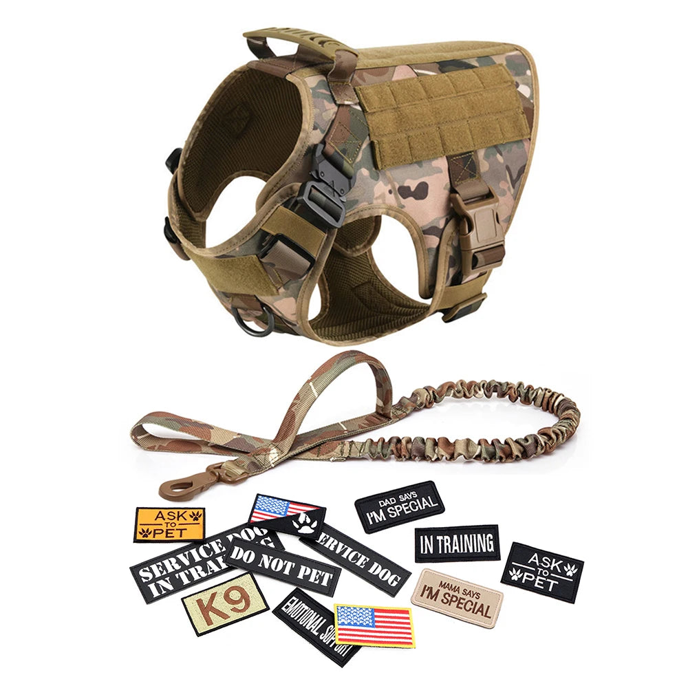 Dog Harness Collar Leash