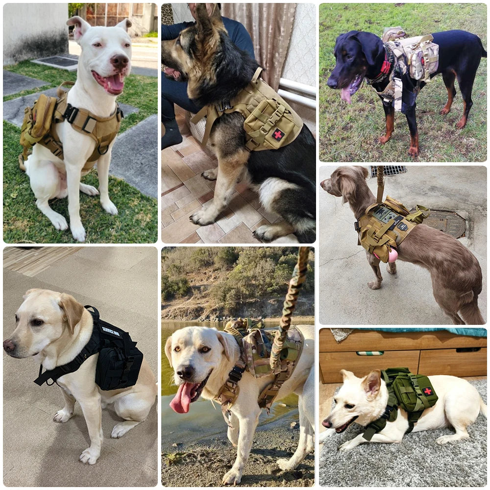 Dog Harness Collar Leash