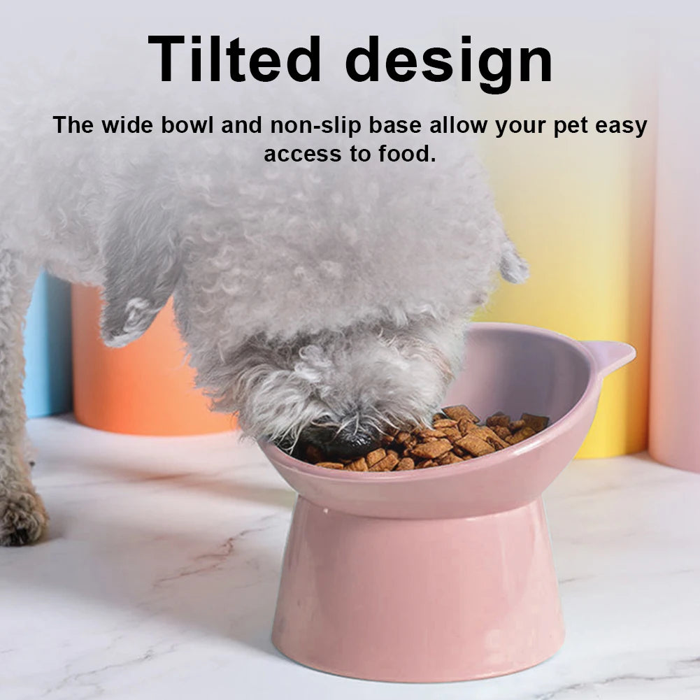 Tilted Elevated Cat Bowl
