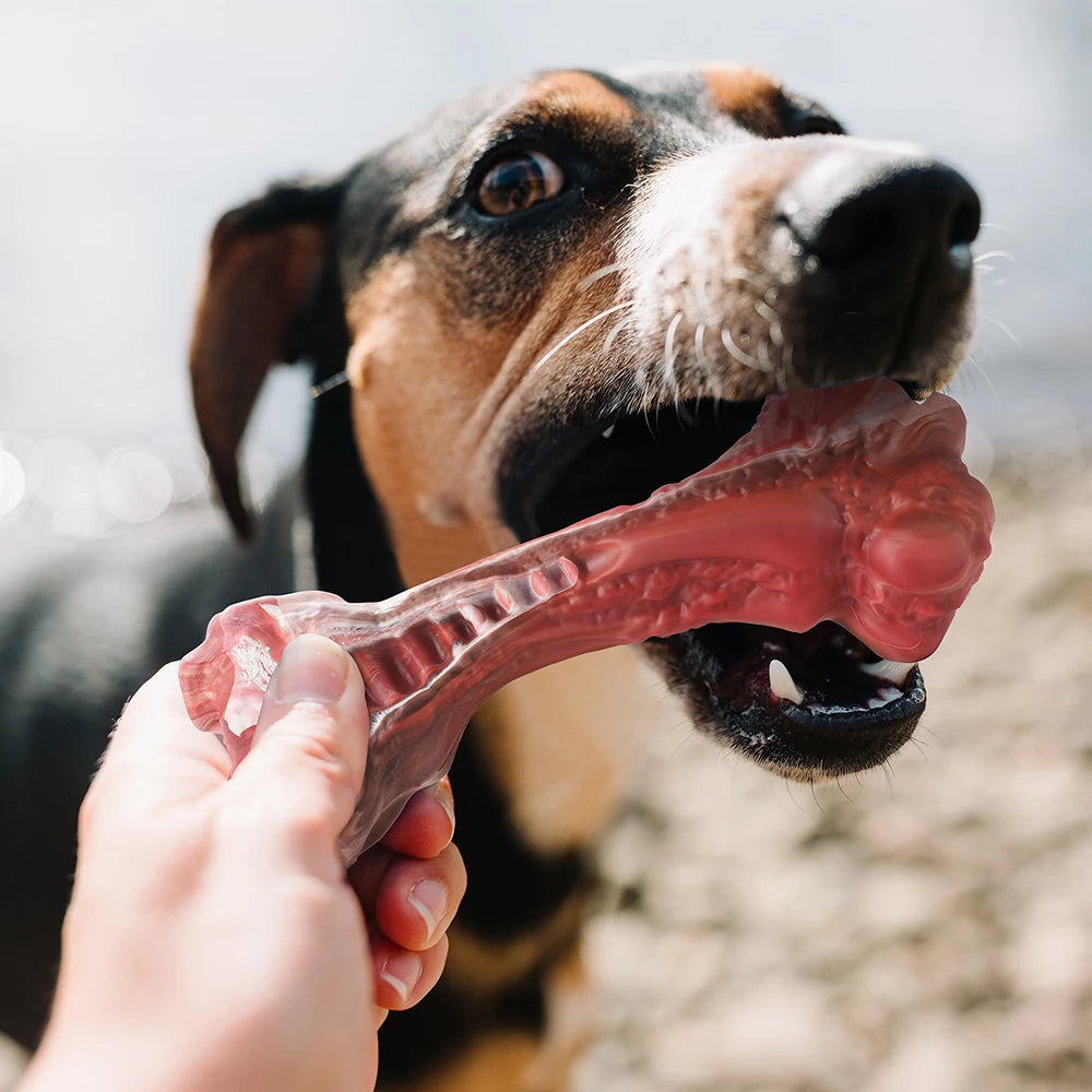Bone-Shaped Chew Toy