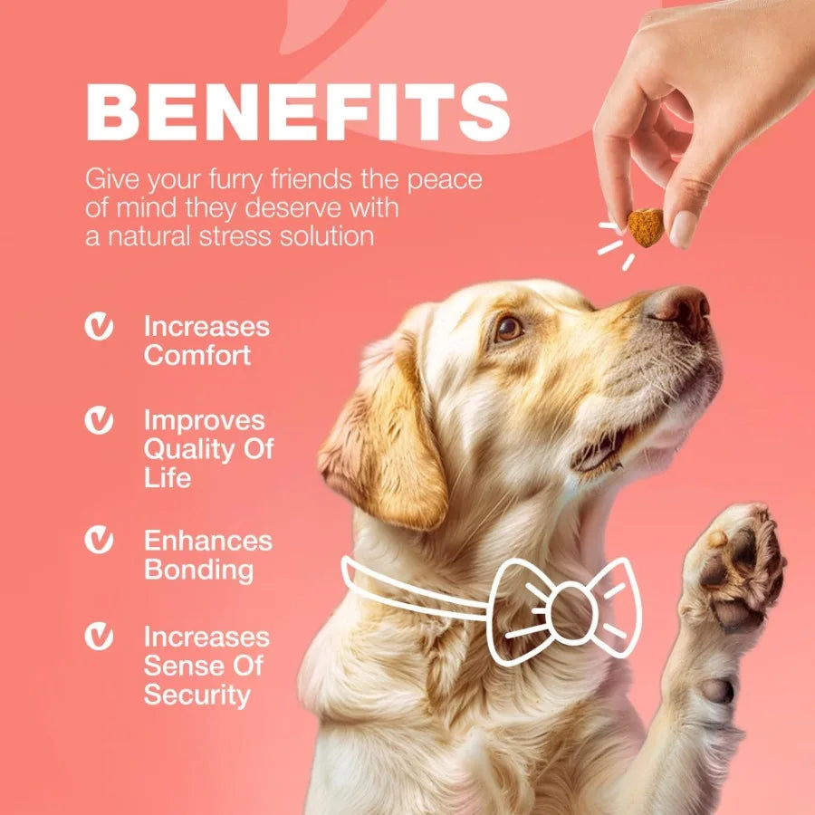 Dog Flea and Tick Treatment