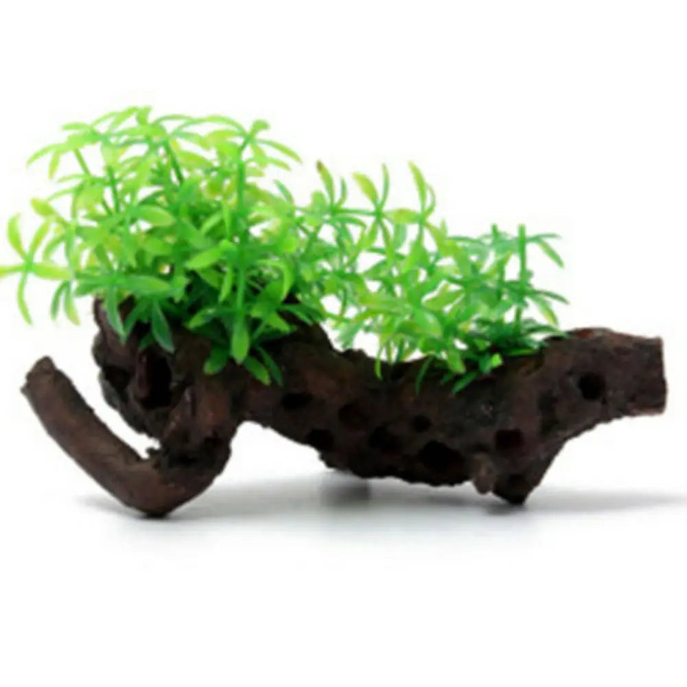 Fish Tank Plants
