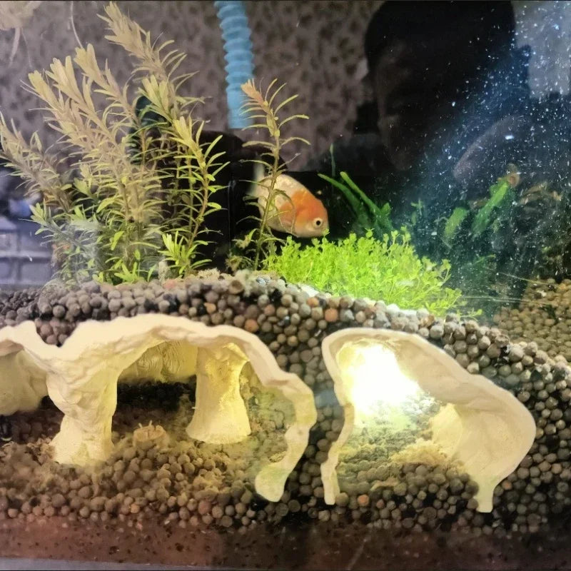 Fish Tank Cave