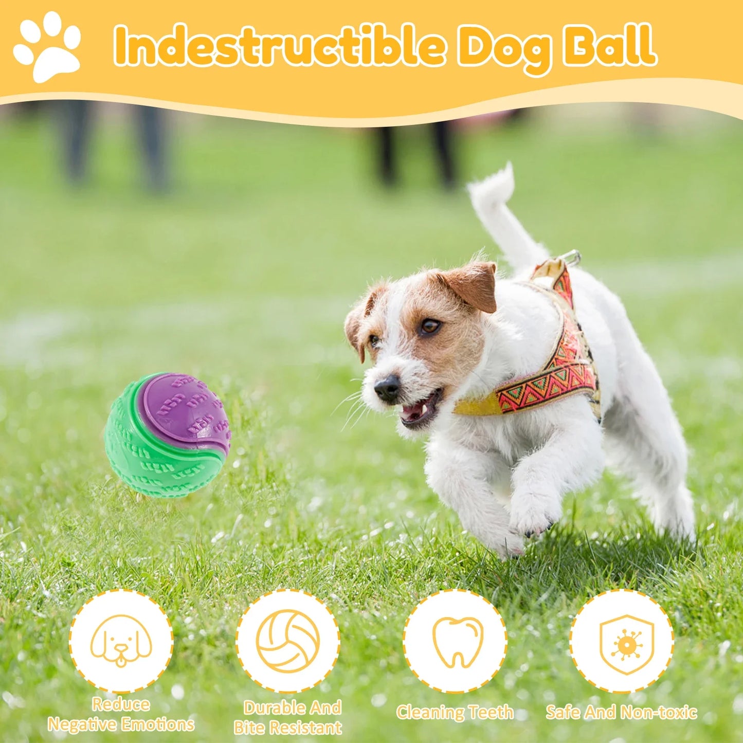 Squeaky Balls Chew Toys