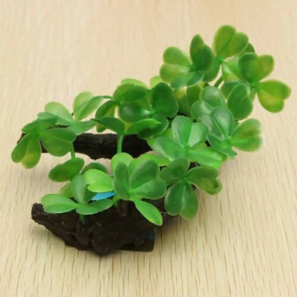 Fish Tank Plants
