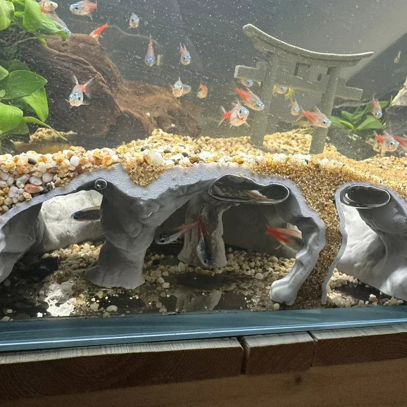Fish Tank Cave