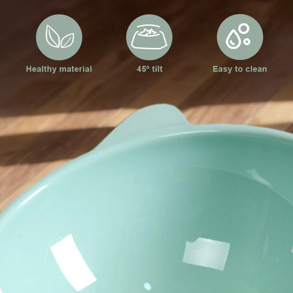 Tilted Elevated Cat Bowl