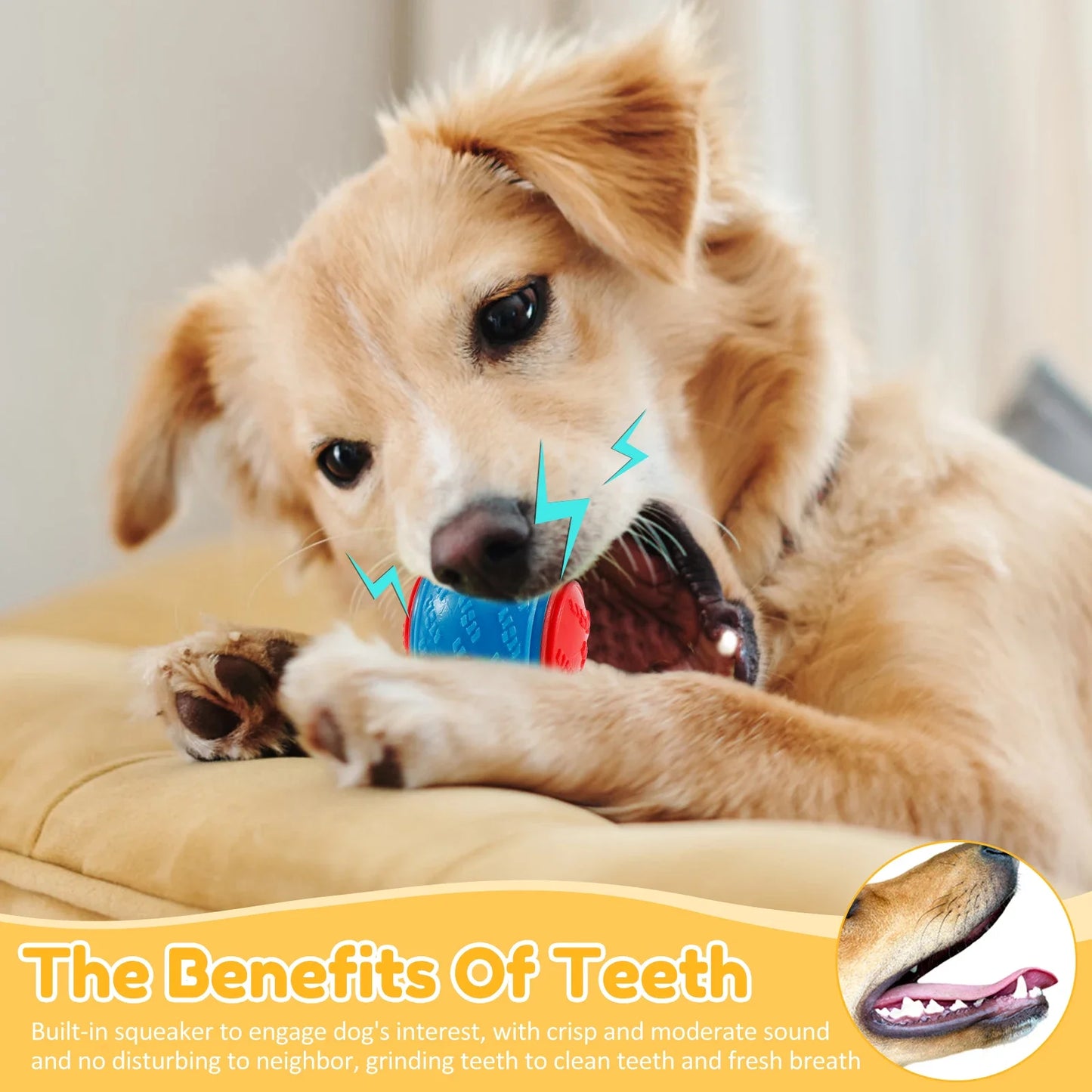 Squeaky Balls Chew Toys