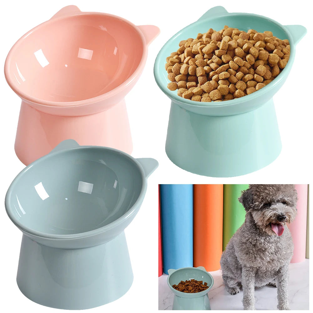 Tilted Elevated Cat Bowl
