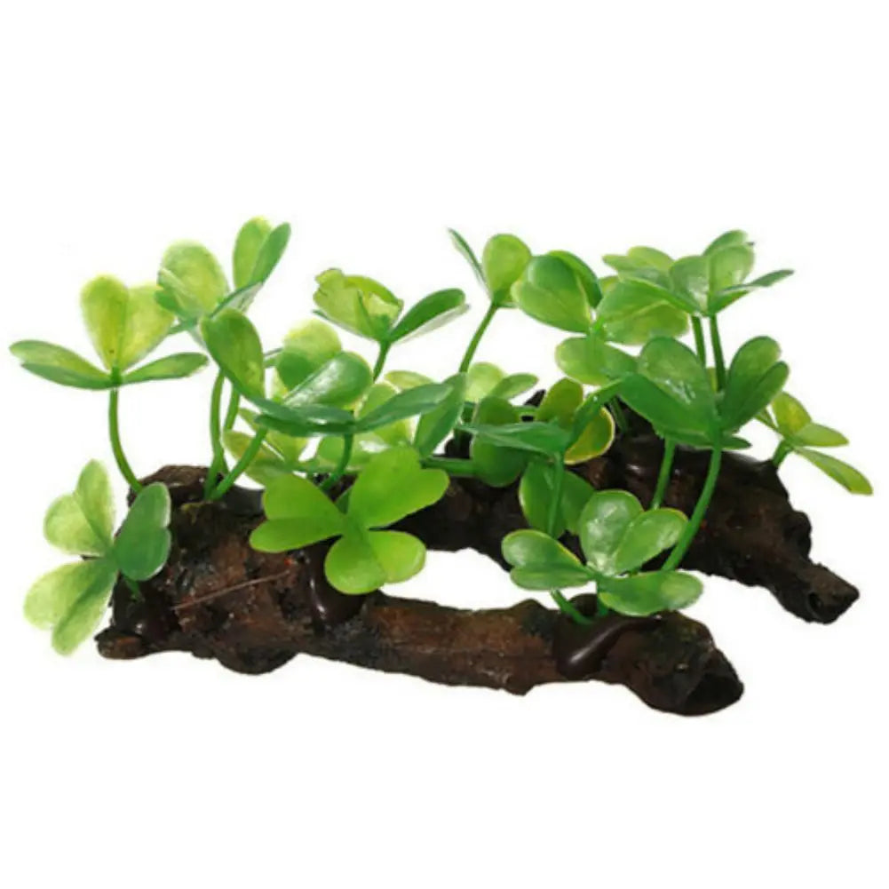 Fish Tank Plants