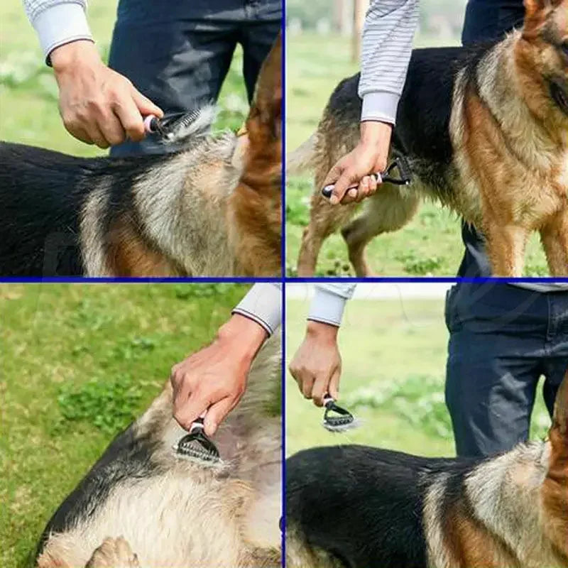 Pet Grooming Tool