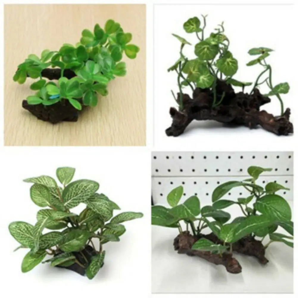 Fish Tank Plants