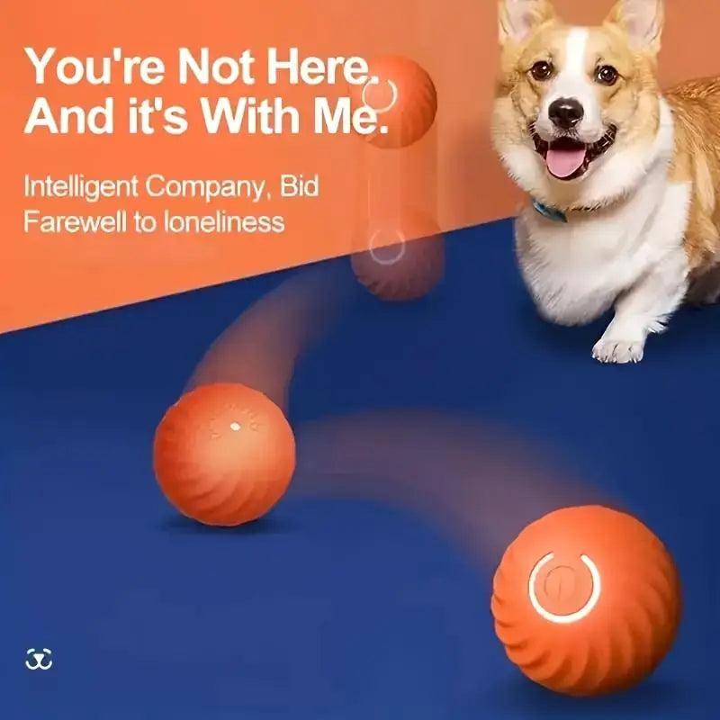 Automatic Jumping Ball Toy