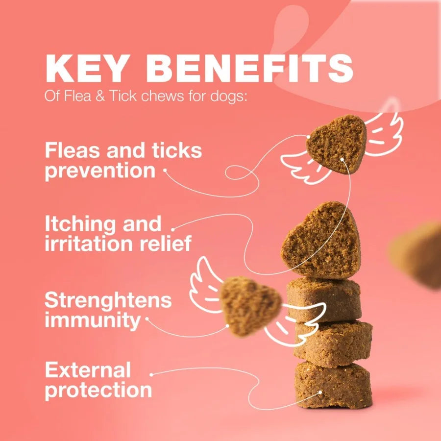 Dog Flea and Tick Treatment