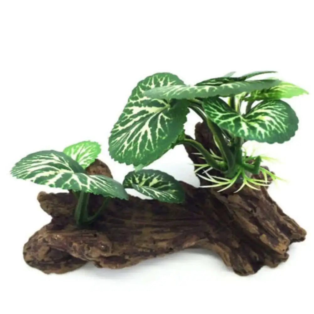 Fish Tank Plants