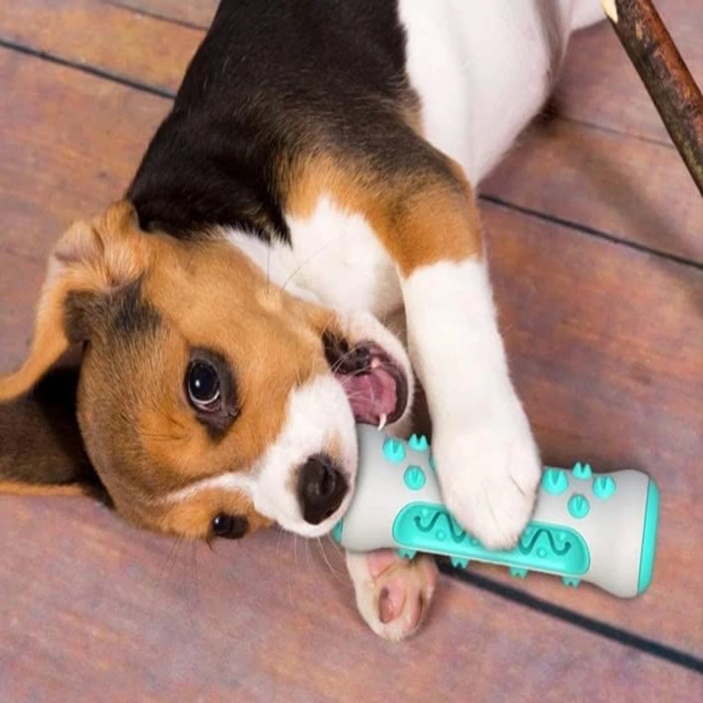 Chew-Resistant Pet Toy