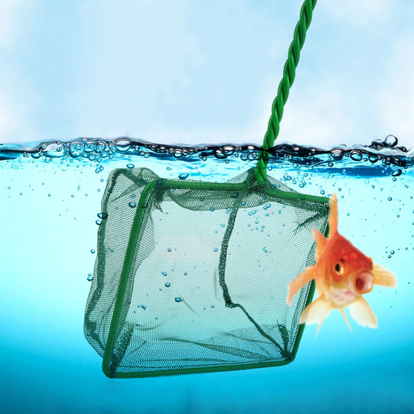 Fish Net Scoop