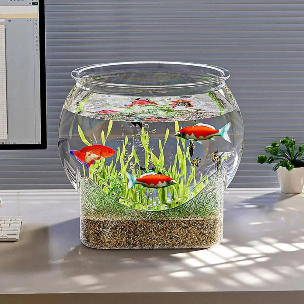 Fish Tank Aquarium
