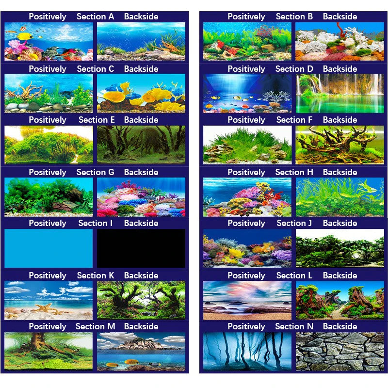 Fish Tank Background