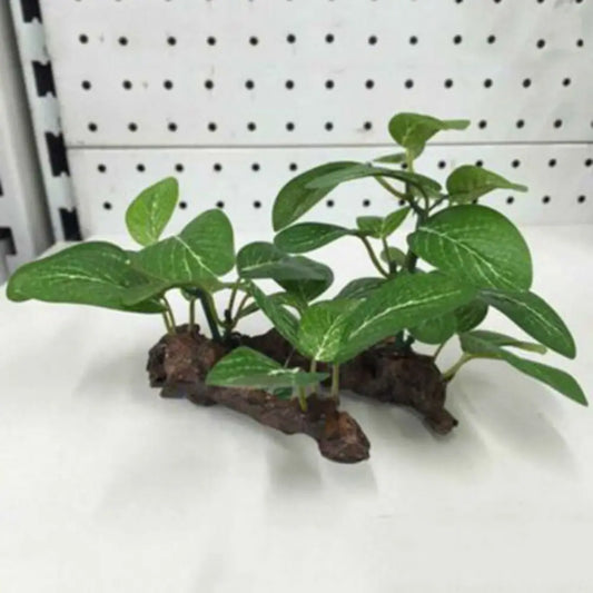 Fish Tank Plants