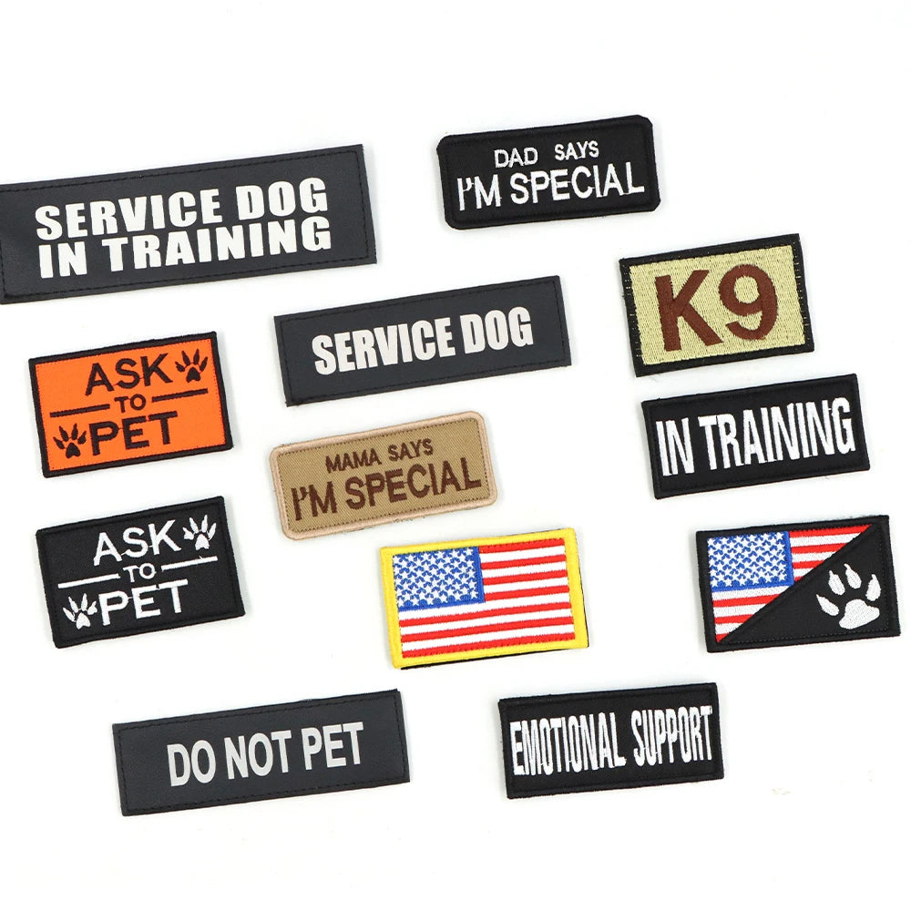 Dog Harness Collar Leash