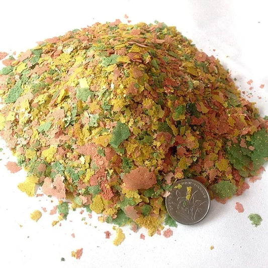 Tropical Fish Feed