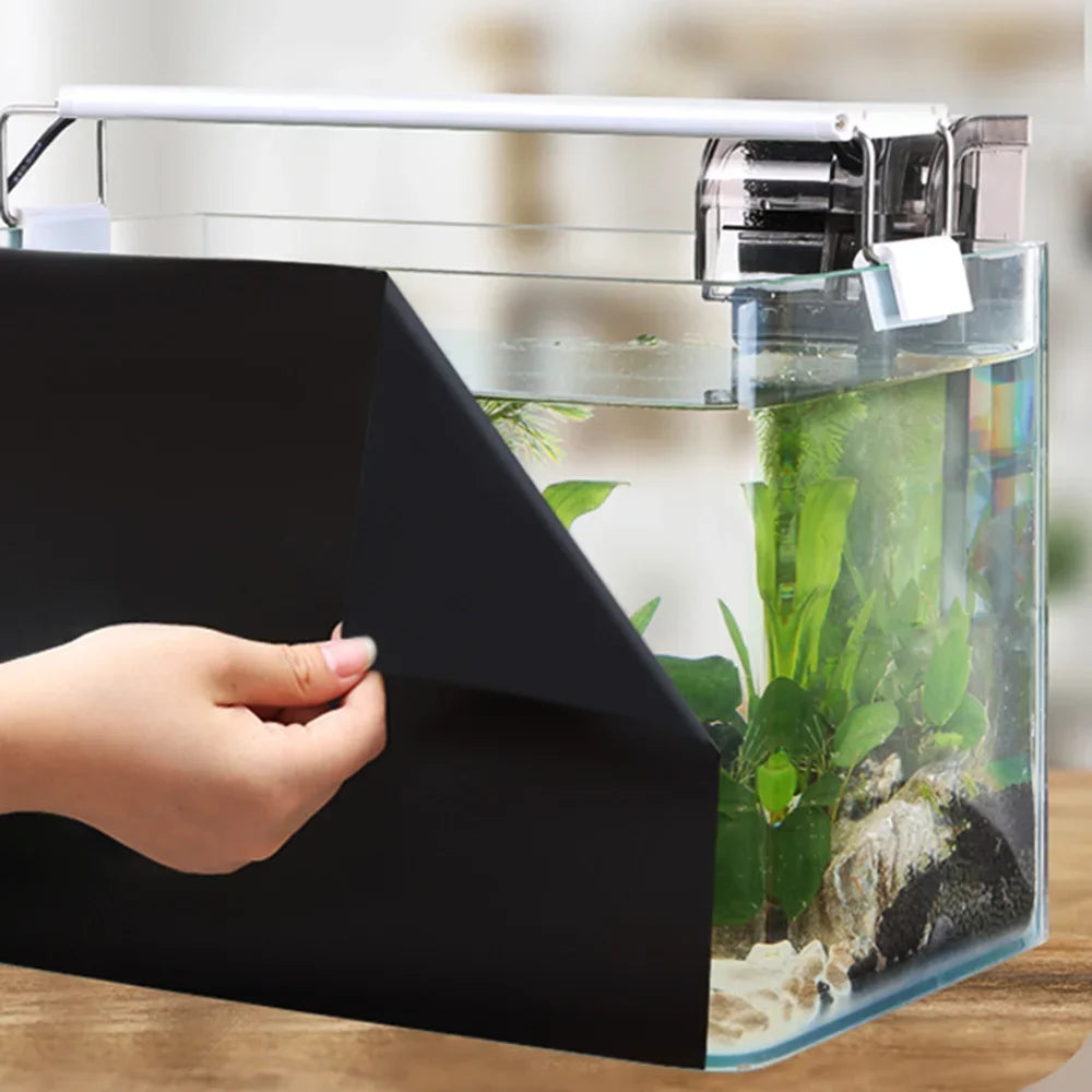 Fish Tank Background