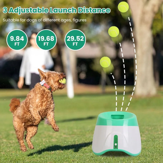 Automatic Ball Launcher