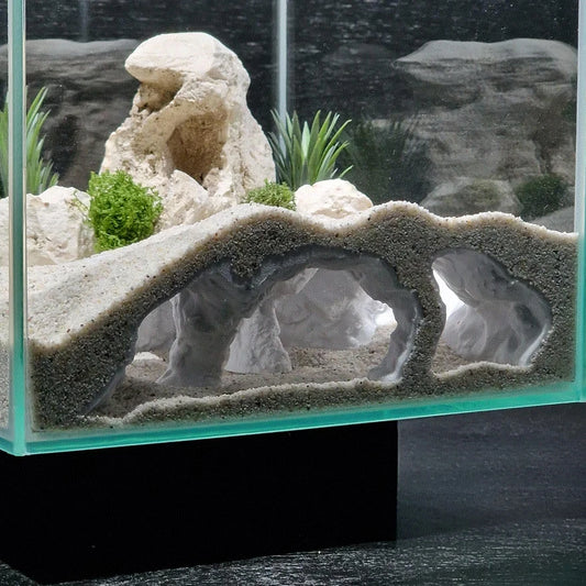 Fish Tank Cave