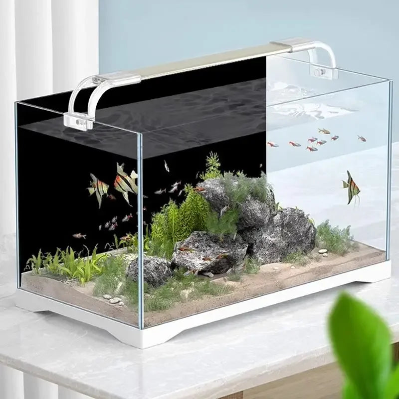Fish Tank Background