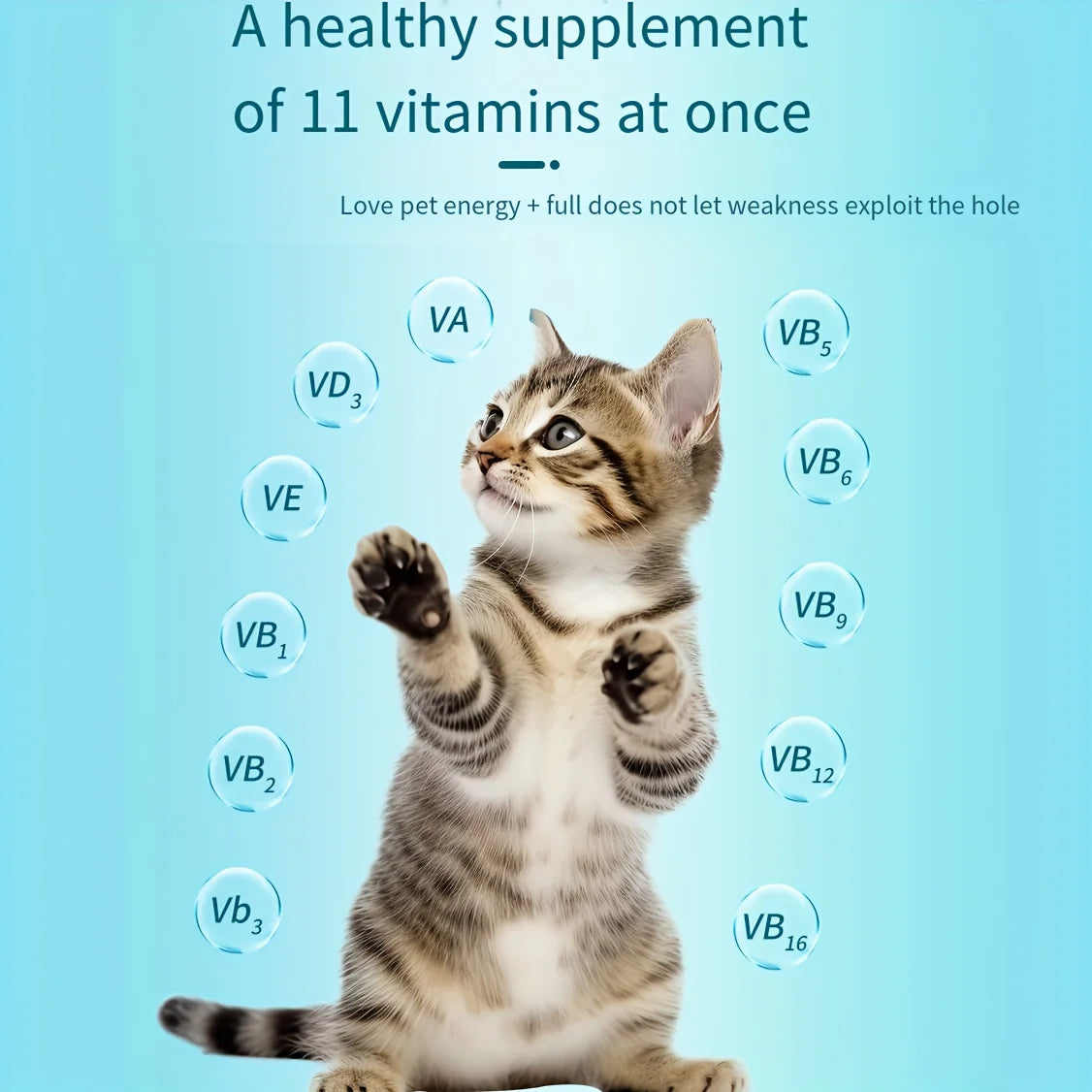 Multivitamin  - 200 chews